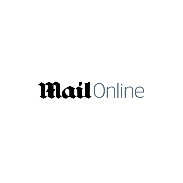 daily mail logo