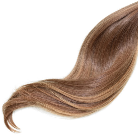 Revival Shampoo