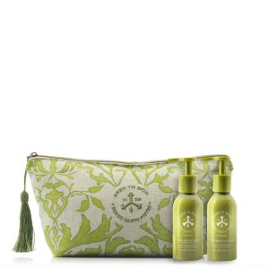 The Travel Companion Kit